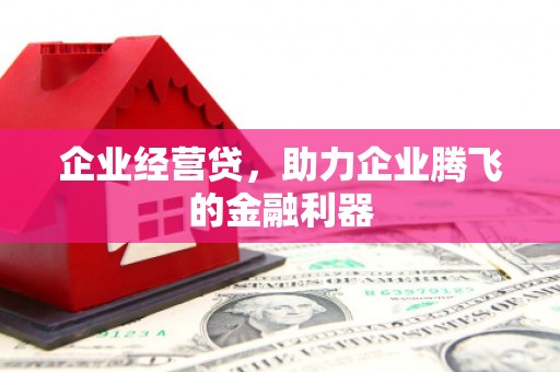 泾川企业经营贷，助力企业腾飞的金融利器