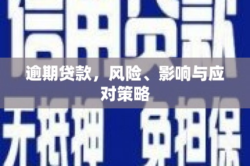 泾川逾期贷款，风险、影响与应对策略
