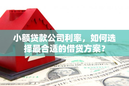 泾川小额贷款公司利率，如何选择最合适的借贷方案？