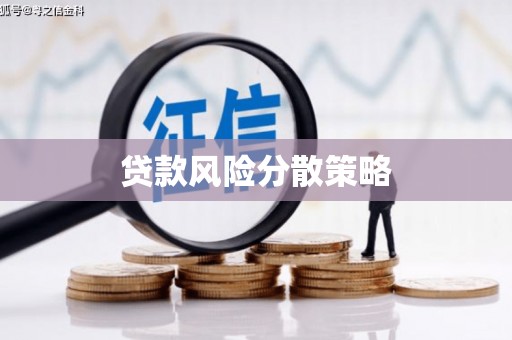 泾川贷款风险分散策略