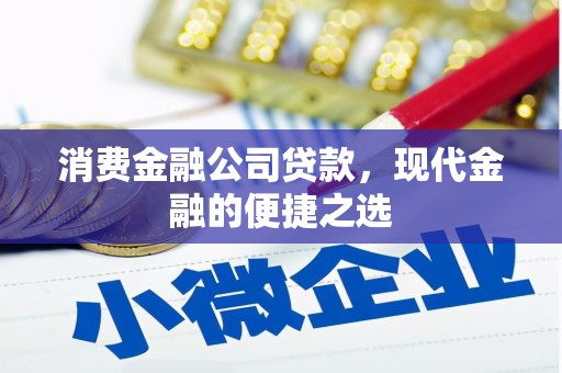 泾川消费金融公司贷款，现代金融的便捷之选