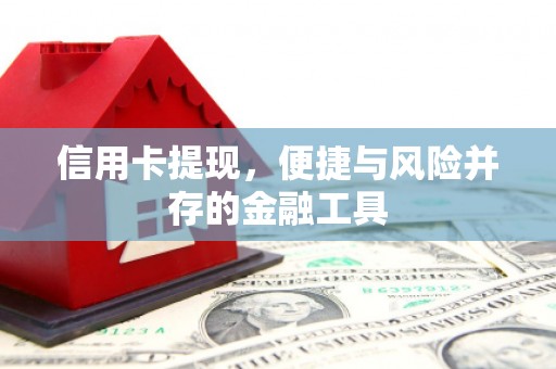 泾川信用卡提现，便捷与风险并存的金融工具