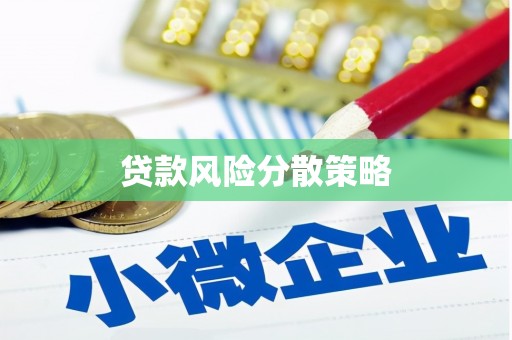 泾川贷款风险分散策略