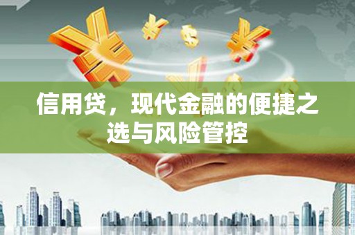 泾川信用贷，现代金融的便捷之选与风险管控