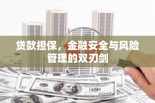 泾川贷款担保，金融安全与风险管理的双刃剑