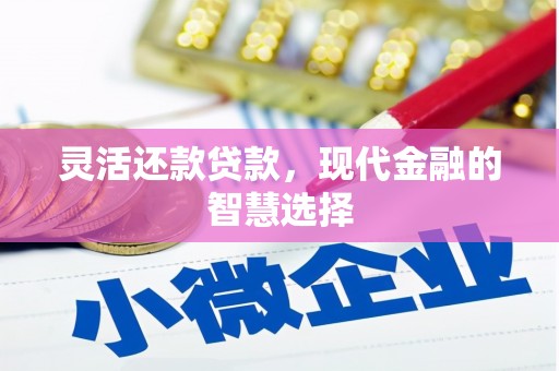 泾川灵活还款贷款，现代金融的智慧选择