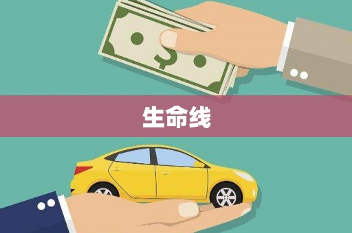 泾川生命线