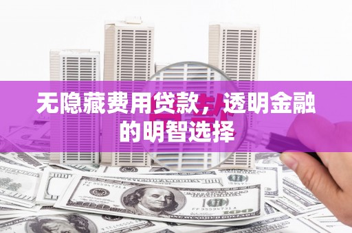 泾川无隐藏费用贷款，透明金融的明智选择