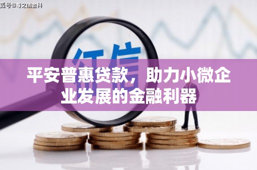 泾川平安普惠贷款，助力小微企业发展的金融利器