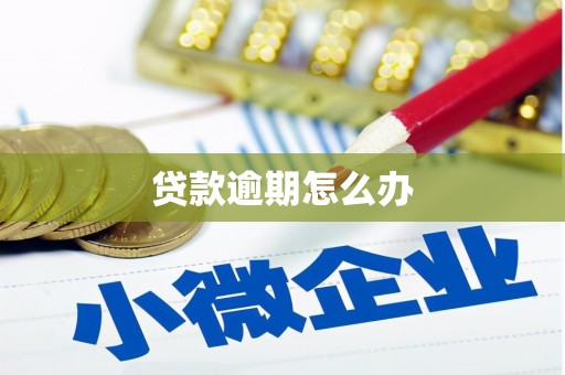 泾川贷款逾期怎么办