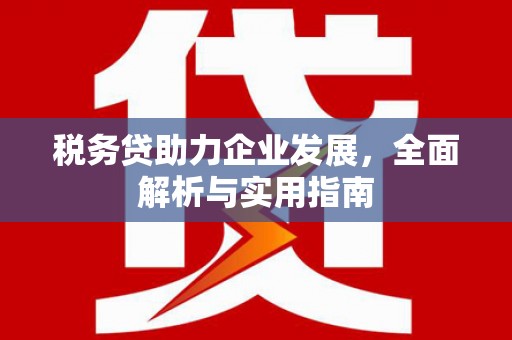 泾川税务贷助力企业发展，全面解析与实用指南