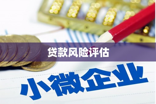 泾川贷款风险评估