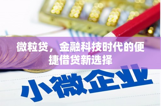 泾川微粒贷，金融科技时代的便捷借贷新选择