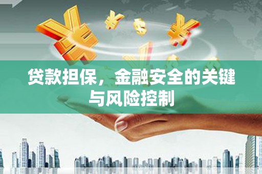 泾川贷款担保，金融安全的关键与风险控制