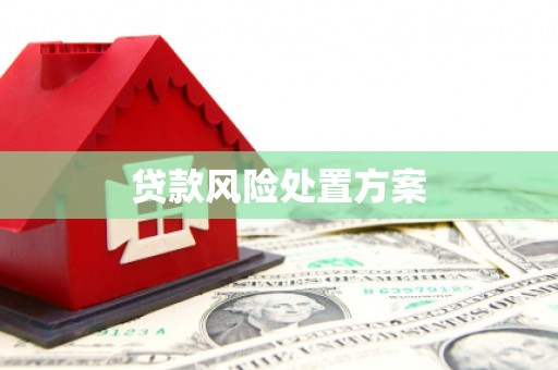泾川贷款风险处置方案