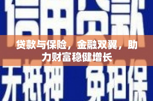 泾川贷款与保险，金融双翼，助力财富稳健增长