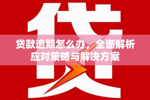 泾川贷款逾期怎么办，全面解析应对策略与解决方案