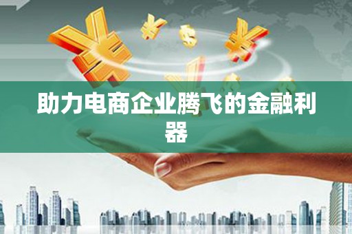 泾川助力电商企业腾飞的金融利器