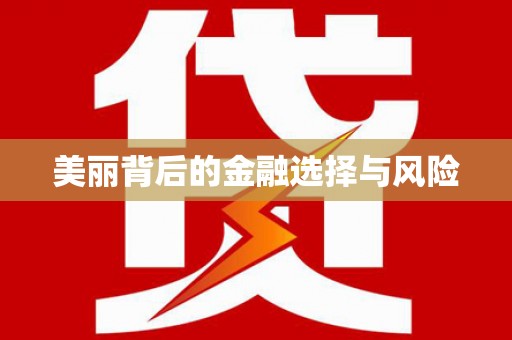 泾川美丽背后的金融选择与风险