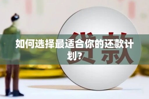 泾川如何选择最适合你的还款计划？