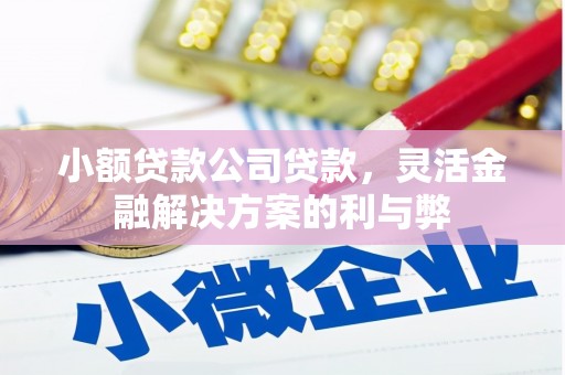 泾川小额贷款公司贷款，灵活金融解决方案的利与弊