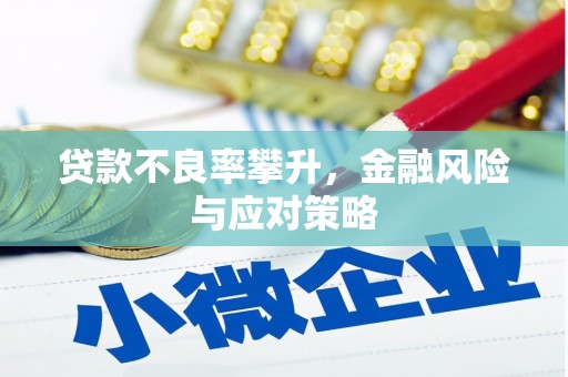 泾川贷款不良率攀升，金融风险与应对策略