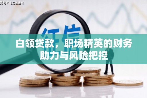 泾川白领贷款，职场精英的财务助力与风险把控